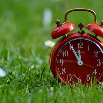 fancy alarm clock on a field